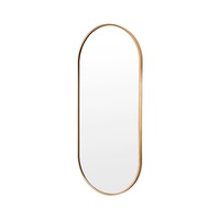 Wall Mirror Oval Aluminum Frame Bathroom 45x100cm GOLD