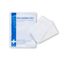 Skin Cleaning Wipes - 10 Pack