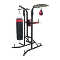 Power Boxing Station Stand Gym Speed Ball Punching Bag