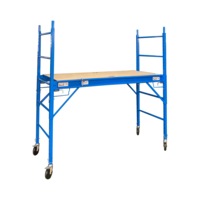 Mobile Safety High Scaffold / Ladder Tool -450KG