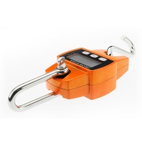300 Kg Electronic Crane Scales Industrial Hanging Digital Weight