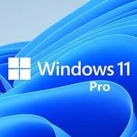 [FQC-10528] Windows 11 Professional OEM 64-bit English 1 Pack DVD. Key .