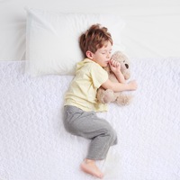 Dreamz Bed Pad Waterproof Protector Absorbent Incontinence Underpad Washable x2