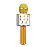 Portable Wireless Karaoke Microphone