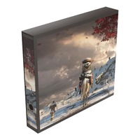 Ultimate Guard Collectors Album'n'Case Binder Artist Edition #2 - Mario Renaud: In Icy Bloom