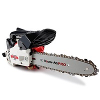 BAUMR-AG 25CC Petrol Chainsaw Arborist 10 Inch Bar E-Start Tree Pruning Garden Chain Saw 10"