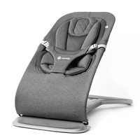 Ergobaby Evolve 3 in 1 Bouncer - Dark Grey