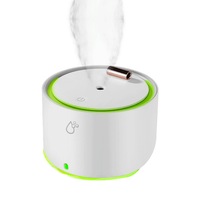 Sansai 400ml Electric Rechargeable Portable Humidifier Mist Lamp WH