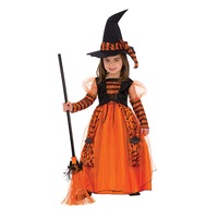 Sparkle Witch Dress/Pointed Hat Children/Kids Halloween Party Costume