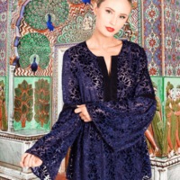 Hem Beaded Velvet Bell Sleeve Top