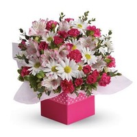 Polka Dot - Flower Arrangement