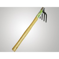 Stainless 4-prong Rake
