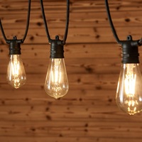 DukeLiving LED Vintage Style Teardrop Edison Outdoor Festoon Lights