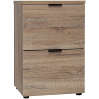 Rico Filing Cabinet Files Storage Office Shelves File Organise Oak 2 Drawer