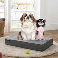 Zinus Pet Bed Green Tea Memory Foam Pillow -Medium