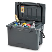 Costway 21L Outdoor Ice Chest Portable Hard Cooler w/Bottle Opener Camping BBQ Beach RV  Grey