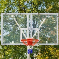 Costway 46cm Pro Basketball Hoop Wall Mounted Basketball Ring Rim Hanging w/Net Weather Resistant Indoor Outdoor