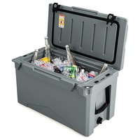 Costway 47L Outdoor Ice Chest Portable Hard Cooler w/Bottle Opener Camping BBQ Beach RV  Grey
