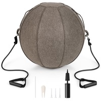 Costway Anti-Burst Yoga Ball Pilates Exercise Gym Ball 65cm Felt Swiss Ball Birthing Balance Fitness w/Pump Brown