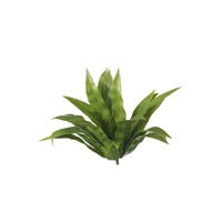 5 Pack - UV Aloe Vera Stem - 20cm