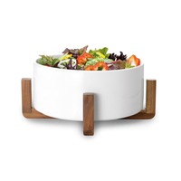 Ambrosia Zest Porcelain & Acacia Wood Salad Bowl 22.7X22.7X10.2cm