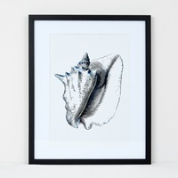 Deborah Hutton Wall Art Conch Shell 45X55cm