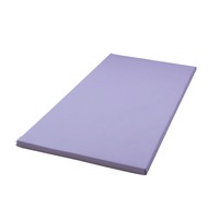 Kids Play Mat Tumbling Gymnastics Mat Cartwheel Mat 120x60cm - Purple