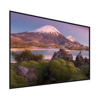 Projector Screens 100 Inches Projector Screen Widescreen 16:9 Portable Projection Anti Crease Foldable Indoor Outdoor Movies For Home Office