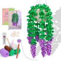 Crochet Kit DIY Crochet Ornament Crochet for Car Styling Plant Hanging Decor