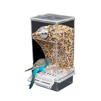 No Mess Bowl Auto Cage Bird Feeder Cup Automatic Parrot Canary Small Cockatiel