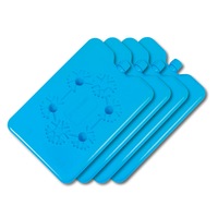 Home Master 4PCE Ice Bricks 16 x 11cm Reusable Non-Toxic Picnics Lunch Box