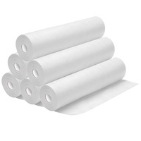 ALFORDSON 300pcs Disposable Bed Sheet Non-woven Massage Table Cover (White)