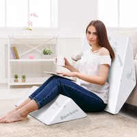 STARRY EUCALYPT Wedge Pillow Memory Foam Cool Gel Bed Sofa Lie Cushion