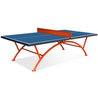 T&R SPORTS Rainbow Outdoor Table Tennis Table Fibre Reinforced Plastic Top - Red&Blue