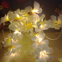 20 White Frangipani Party Night fairy lights string - Battery Power