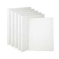 5pcs Artist Blank White Canvas - 11 Size