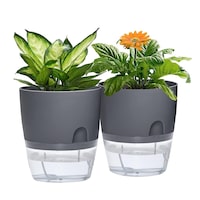 SpringUp 2 PCS Self Watering Pot/Planter Plastic Clear Self Flower Pot Water Storage Basin 2 Colours 4 Size