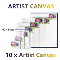 10x Large Artist Blank Canvas Oil Acrylic Painting 60X80 Stretched Canvases Art