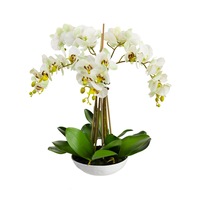 Glamorous Fusion Phalaenopsis Orchid Artificial Plant Flower Decorative 60cm White Bowl - Apple Green