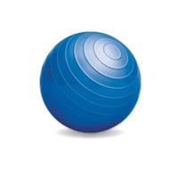 Ozoffer Exercise Gym Ball Blue Anti Slip Texture Balance Strength 65cm