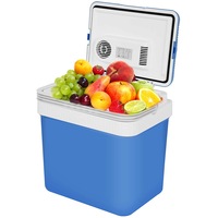 Advwin 24L Car Fridge Compact Electric Portable Fridge, Cooler Warmer with Partition Plate for Home and Travel (Blue)