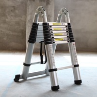 5m Telescopic Aluminum Multipurpose Ladder Extension Alloy Step (2.5M + 2.5 M)