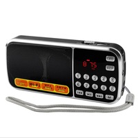 TEQ AM/FM Portable Radio