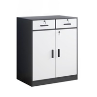 Lauft Filing Cabinet Document Organiser Office Storage Lockable Drawer Cupboard