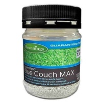 Queensland Blue Couch Lawn Seed 100G