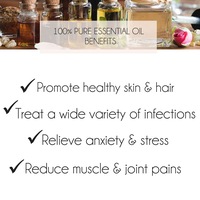 Pure & Natural Essential Oils 10mL For Aromatherapy Diffusers Skin Hair Care Oil