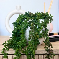 Artificial String Of Pearls Plant In White Pot