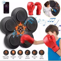 Music Boxing Machine Indoor Boxing Training Punching Glove Target React Exercise