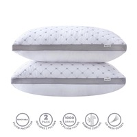 Gioia Casa Luxury Bamboo Cooling Plush Pillows with Protectors Twin Pack