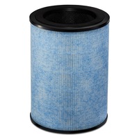 Instant F300 Replacement Air Purification Filter